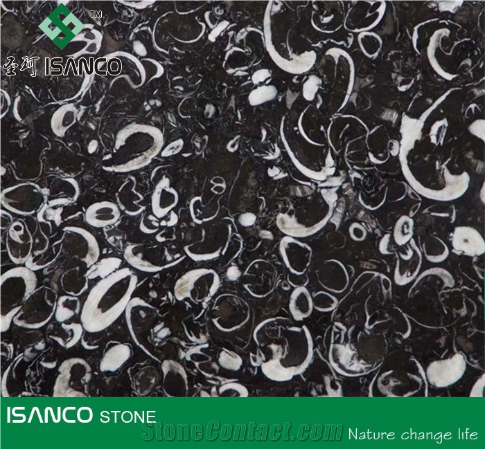 China Black Marble Jumbo Pattern Polished Black Fossil Marble Wall Covering Tiles Cut to Size Marble Skirting Black Marble Big Slab Marble Floor Covering Tiles Cheap Marble Tiles & Slabs