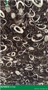China Cheap Marble Pattern Sea Shell Flower Marble Tiles & Slabs Seashell Black Marble Floor Covering Tiles Black Fossil Marble Skirting Black Seashell Marble Wall Covering Tiles Big Slab Price
