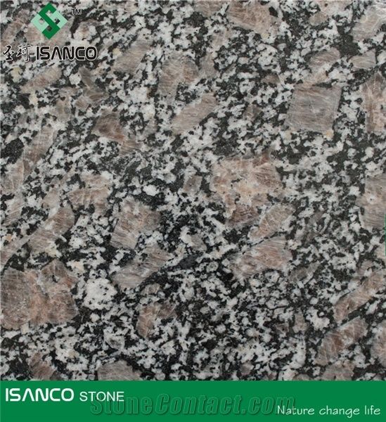 China Shandong Granite Wall Covering Brown Granite Slabs Congo Pearl Granite Floor Covering Royal Pearl Granite Flooring Pearl Brown Granite Skirting Congo Brown Granite For Wholesaling Stonecontact Com