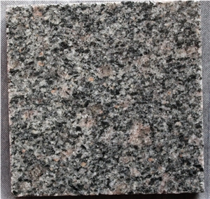 G300 Grey Granite Slabs Bullnose Granite Wall Covering Diamond Grey Granite Floor Covering Grey Diamond Granite Flooring Gray Granite Skirting Shandong Cheap Grey Granite with Pink Diamond