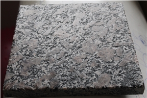 Shandong Congo Pearl Brown Granite Cpuntertop,Tumbled Polished Brown Pearl Granite,Polished Kitchen Countertop