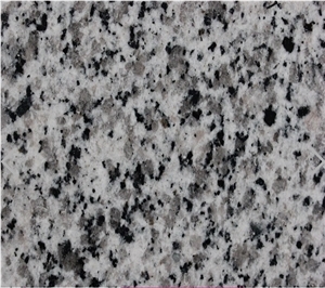 Shandong G603 Sesame White Granite Tile, China Grey Granite, Hot Selling Polished Natural G603 Floor Tiles,Customer Size Request Floor Paving