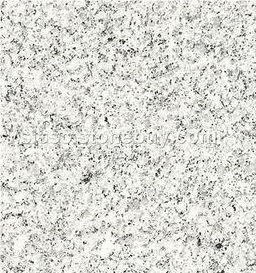 Tianxin White Granite Block, White Granite Block