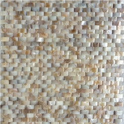 Convex Mother Of Pearl Tile