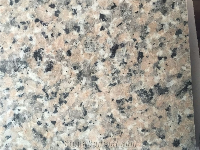 Grey Color Granite Slabs & Tiles for Building, China Grey Granite