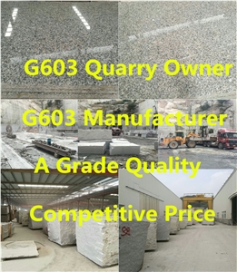 G603 Tiles,G603 Slabs,Grey Granite ,Chinese Grey G603 Granite
