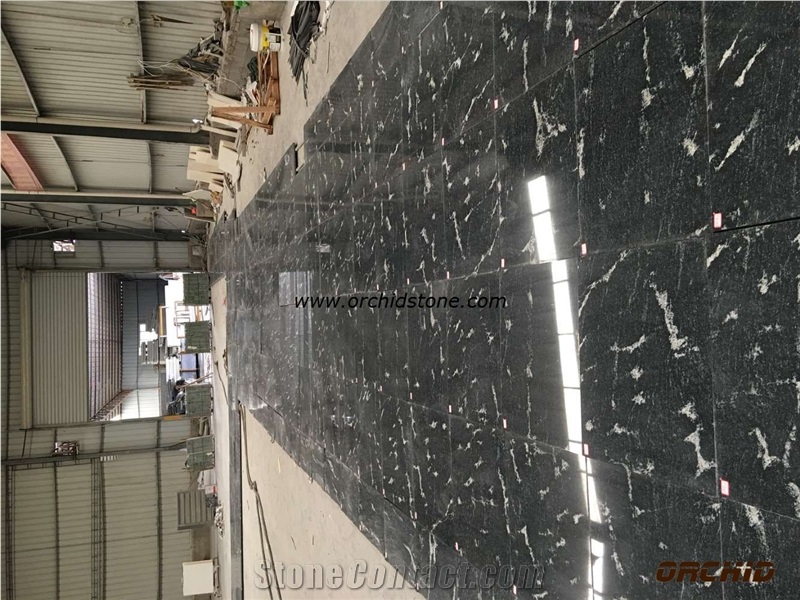 Brazil Ganges Black Granite Tiles & Slabs, Brazil Black Granite Tiles & Slabs