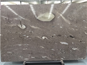 Cygnus Quartzite Slabs or Tiles, for Wall or Interior Decoration