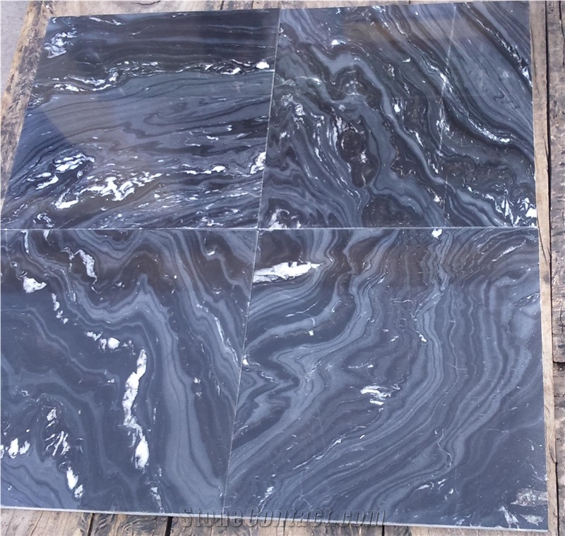 Forest Black Marble Tiles ,Silver Paradiso Marble Tile, India Black Marble Tile