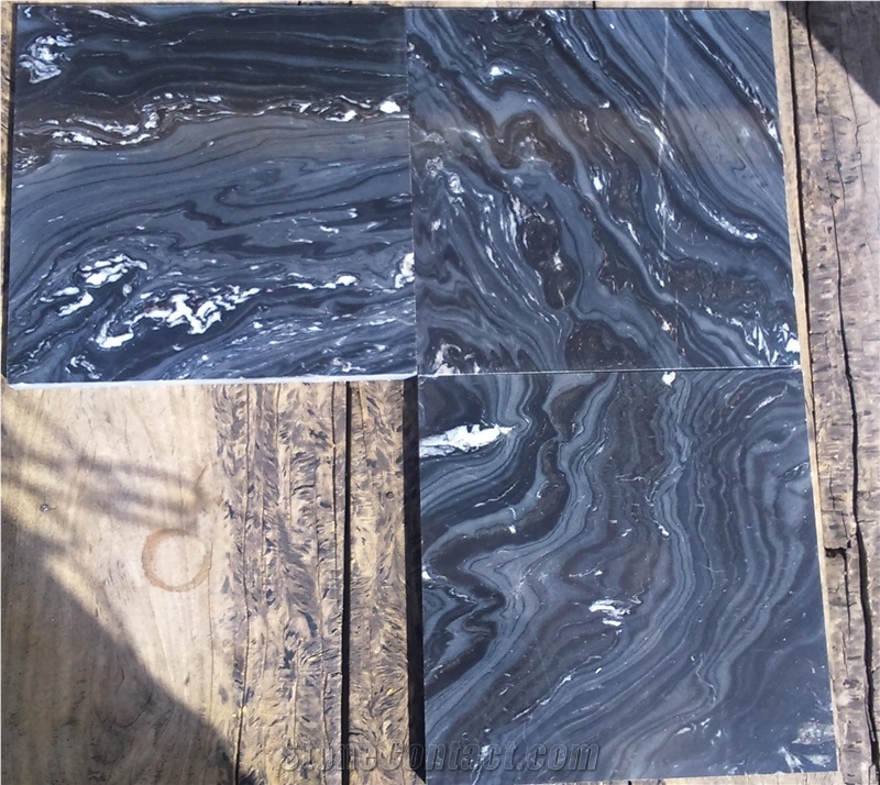 Forest Black Marble Tiles ,Silver Paradiso Marble Tile, India Black Marble Tile