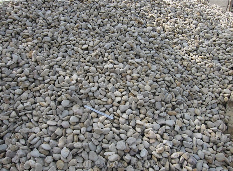 Factory Price Pebble Stone Paving, River Stone