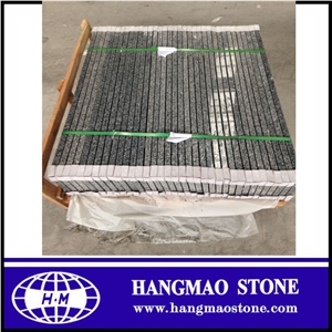 Grey Sardo G603 Granite Step and Stair, China Grey Granite