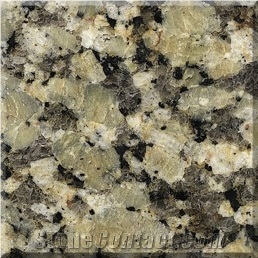 China Giallo Fiorito Granite Slabs & Tiles