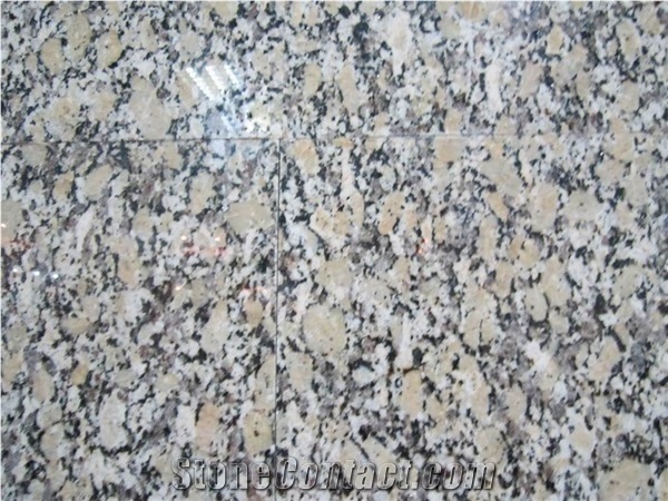 China Giallo Fiorito Granite Slabs & Tiles