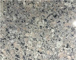 China Labrador Granite Tiles & Slabs