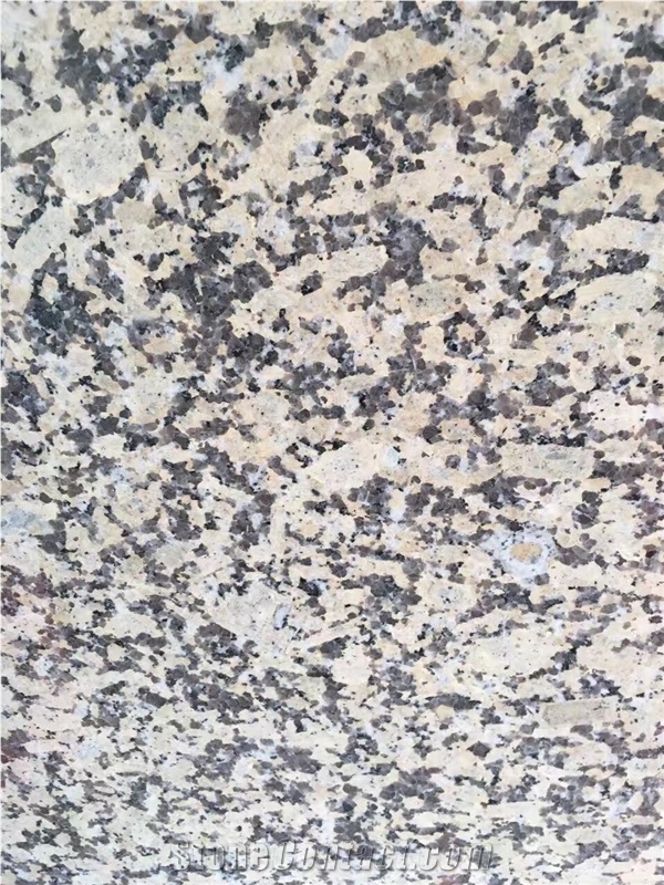 Caledonia Gold Granite Slabs and Tiles,New Giallo Atlantico Granite Slabs and Tiles, Golden Leaf
