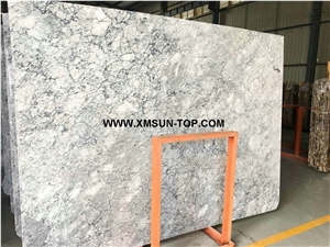 Polished Prague Grey Marble Big Slabs & Gangsaw Slabs & Customized/Light Grey Marble for Wall Covering/Grey Marble with Patterns for Floor Covering/Interior Decoration