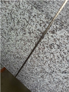 G439/Big Flower Granite/Puning White Granite Kitchen Countertops Size Can Be Custom Made in China Winggreen Stone
