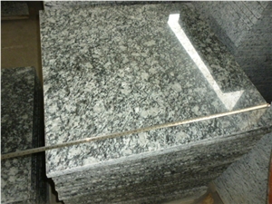 High Polished Good Quality Tiger White Granite,Spray White Tiles and Slabs in China Stone Market Winggreen Stone