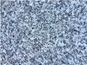 Best Price G603 Granite Tiles & Slabs/China Sardinia/Crystal Grey G603/Gamma Biancosilver Grey Granite/Sesame White Granite/Crystal Grey Granite/Light Grey Granite Slab & Tile/White Granite Kerbstone