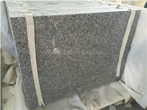 Cheap G603 Granite Tiles & Slabs/China Sardinia/Crystal Grey G603/Gamma Biancosilver Grey Granite/Sesame White Granite/Crystal Grey Granite/Light Grey Granite Slab & Tile/White Granite Kerbstone