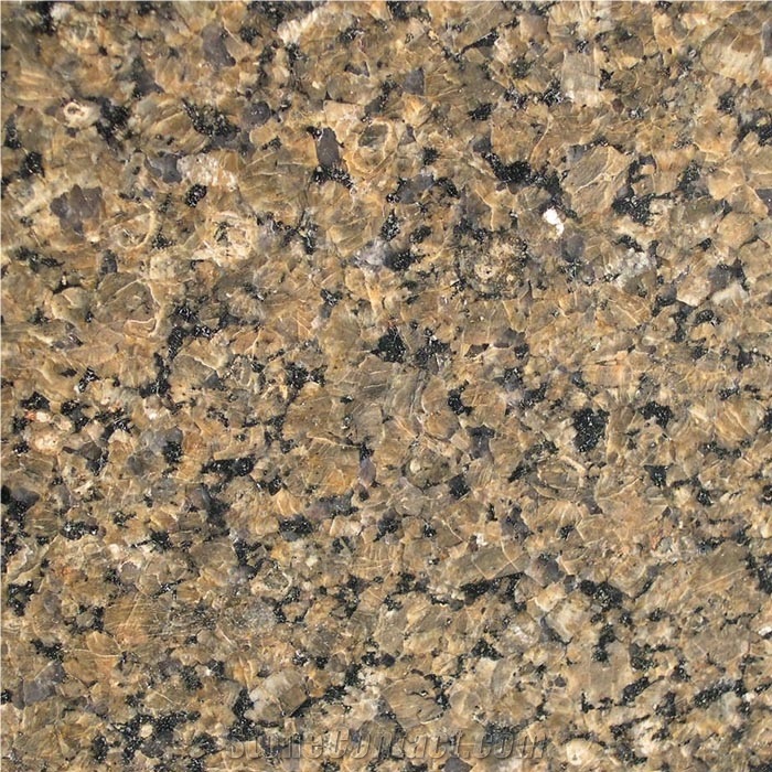 Tropical Brown Granite from United Arab Emirates - StoneContact.com