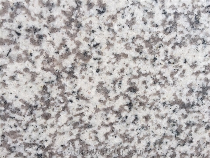 China White Sesame Granite Slab & Tile G655,China White Granite Tiles