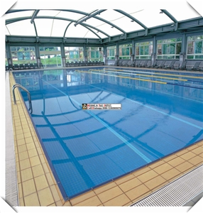 Anti Slip Swimming Pool Brick 240x115mm