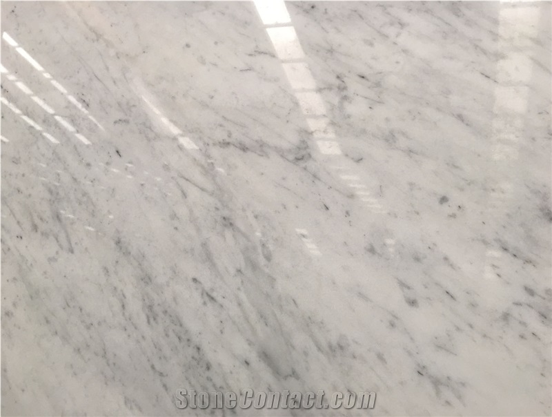 Thin Vein Biancco Carrara Marble Slabs & Tiles