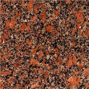 Granite Tile Withered
