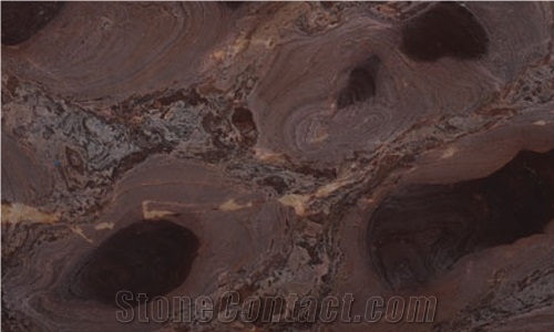 Fossil Brown Quartzite