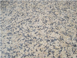Classic Brown Xinjiang Granite,Xinjiang Brown Granite Slabs & Tiles