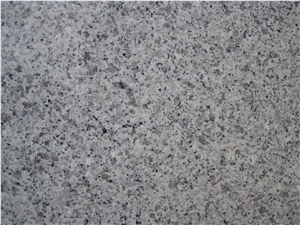 G613 Granite Slabs & Tiles, China White Granite
