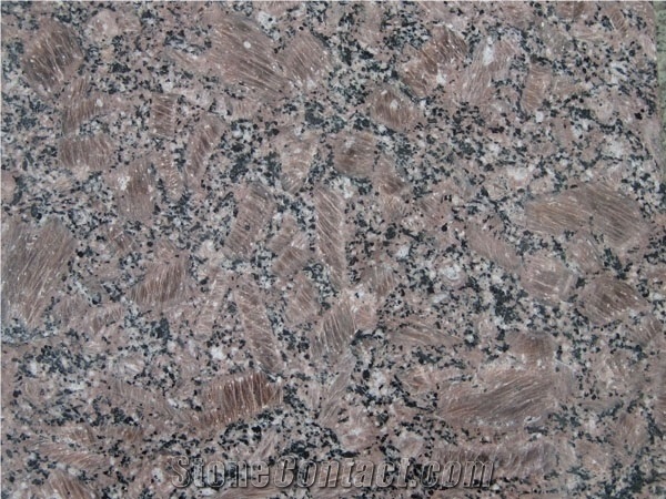 Ice Silver Brown Granite,Coffee Drill Granite,Coffee Brown Granite, China Brown Granite Tiles, Flamed, Bush Hammered, Paving Stone, Courtyard, Driveway, Exterior Pattern, Stepping Stone, Pavers