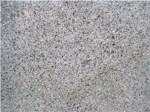 Shandong Grey,Wendeng Grey Granite,Yl Pool Grey Granite, Grey Granite Slabs & Tiles