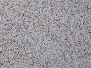 Shandong Yellow Rust Granite, G350,Giallo Golden Sesame,Gold Cannabis,China Yellow Granite Slabs Polishing, Polished Wall Floor Covering Tiles, Walling, Flooring, Skirtings, Stairs, Risers, Treads