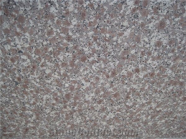Snow Plum Granite, G602 Granite,G608 Granite,Grey Sardo,Nanan Mayflower