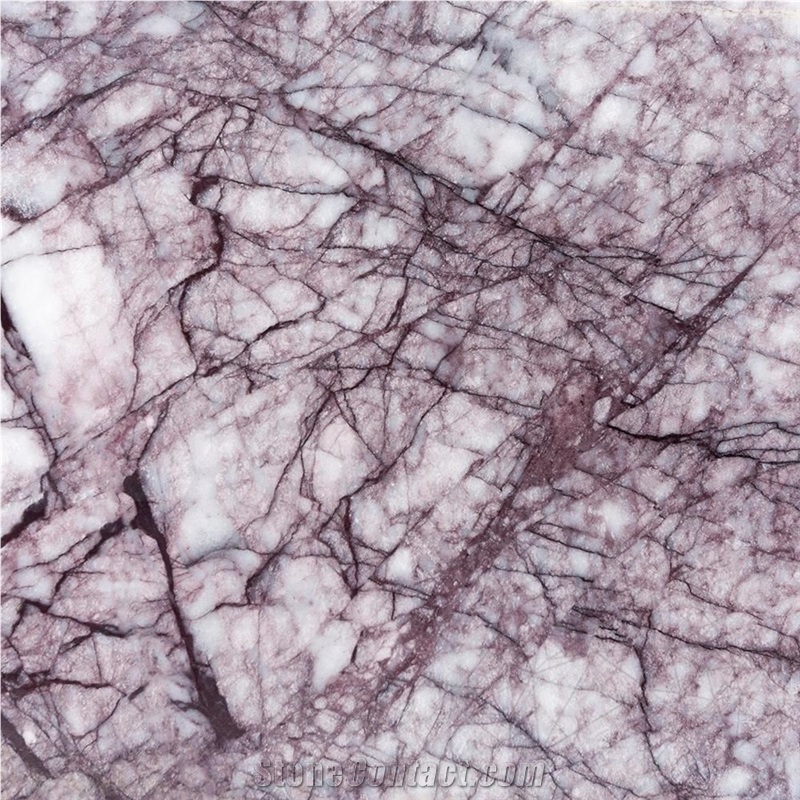 Calacatta Violet Polished Marble 60 X 30 X 2 cm