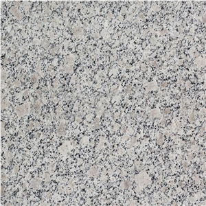 Rock Star Grey Flamed Granite 60 X 30 X 1.5 cm