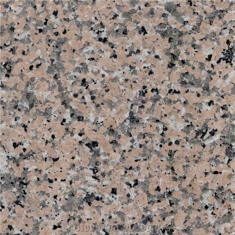 Rosa Porrino Polished Granite 60 X 30 X 1.5 cm