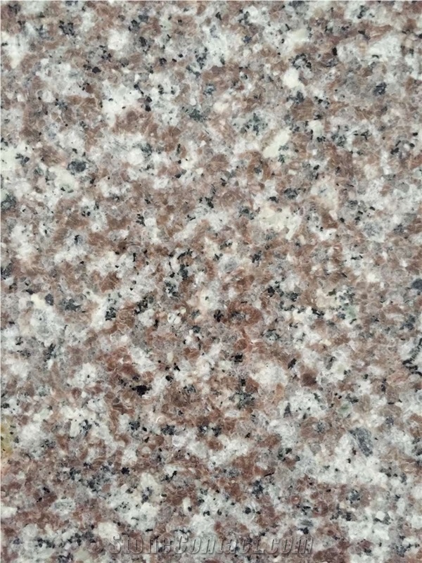 China Bain Brook Brown G664 Granite Small Slab Polished,Cheap Red Granite Paving,Wall Cladding