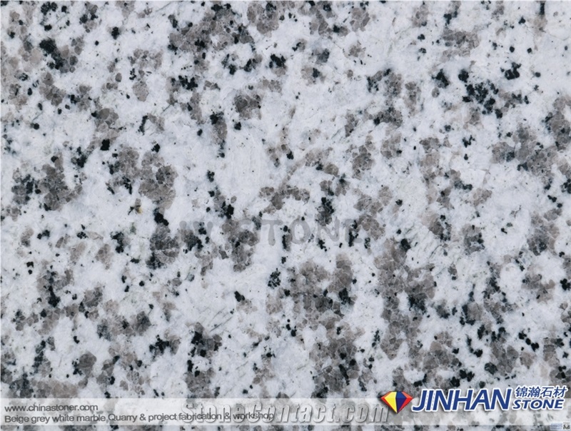 G439 White, China Bianco Sardo,Big Flower White Granite,Big Flower Granite,Puning White Granite Slab & Tile