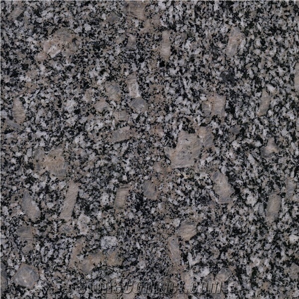 China Granite/Royal Brown Granite/Brown Granite/Wall Tiles/China