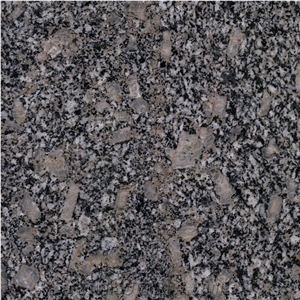 China Granite/Royal Brown Granite/Brown Granite/Wall Tiles/China