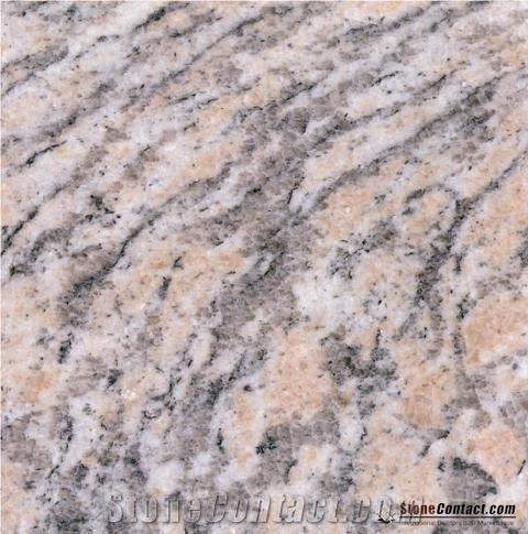 China Granite/Tiger Skin Red/Red/Yellow/Beige Granite/Tiles/Granite Tiles