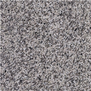 China Granite/Tiger Skin White/White/Beige Granite/Ganite Tiles/Walling Tiles