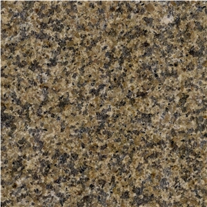China Granite/Yellow/Gold Granite/Countertops/Tiles