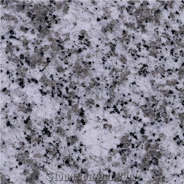 White/Grey Granite/G439/Tiles/China