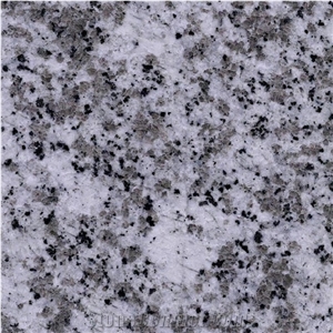 White/Grey Granite/G439/Tiles/China