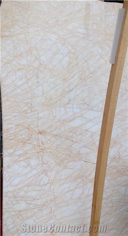 Natural Polished Marble Stone-Greece Golden Spider Big Slabs & Tiles ,Cut-To-Size and Skirting Patterns -Owned Factory -Xiamen Terry Stone Co.,Ltd